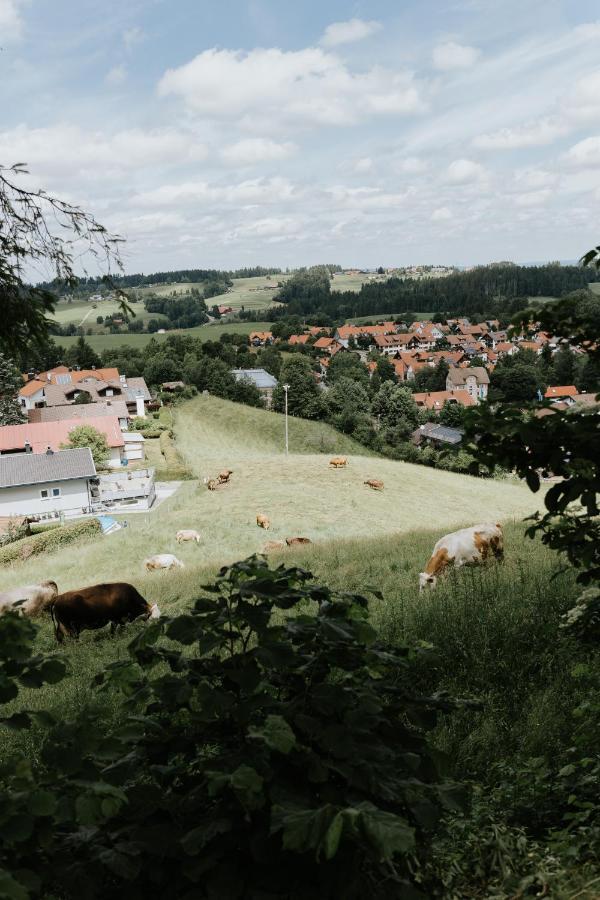 Ferienwohnung Alpenblick I Kamin I Private Sauna Wangen im Allgaeu Luaran gambar