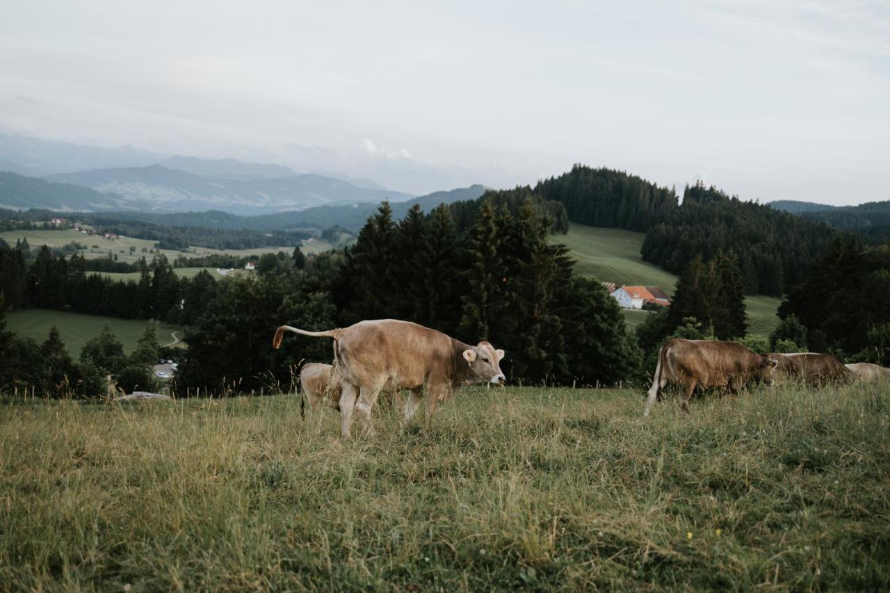 Ferienwohnung Alpenblick I Kamin I Private Sauna Wangen im Allgaeu Luaran gambar